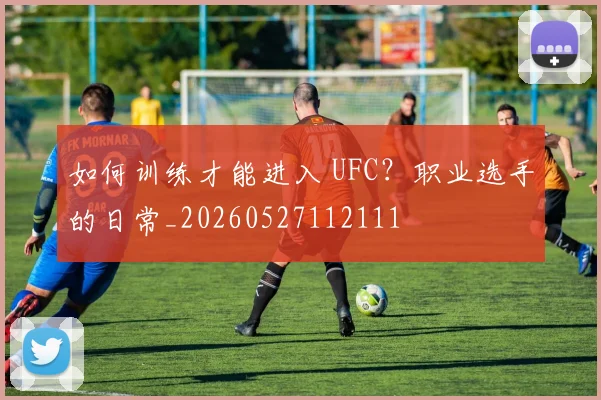如何训练才能进入 UFC？职业选手的日常_20260527112111