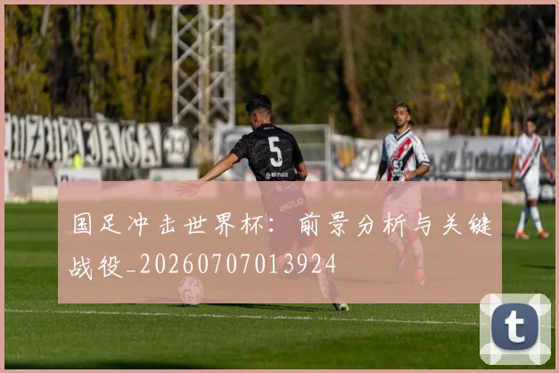 国足冲击世界杯:前景分析与关键战役_20260707013924